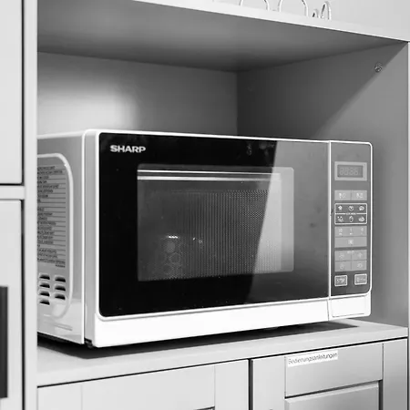 Apartment Modernes Zentral In Mit Parkplatz Und Wlan Ideal Fuer Business Und Urlaub