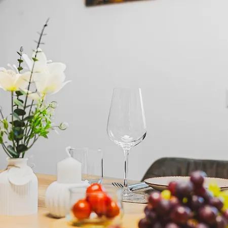Modernes Zentral In Mit Parkplatz Und Wlan Ideal Fuer Business Und Urlaub Apartment